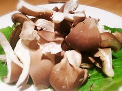 平菇-觅唐MITONG(鸟巢店)