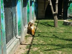 -西安秦岭野生动物园