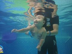 -尼莫亲子游泳NEMOSWIM(西美中心)
