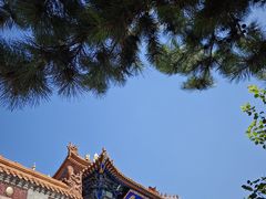 -大召无量寺