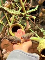 -Zoolung Zoolung动物主题公园(海信广场店)