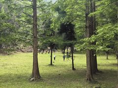 -瑶琳仙境