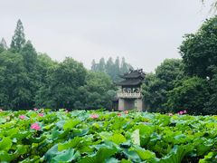 -苏堤停车场