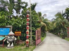-兴隆隆苑咖啡庄园