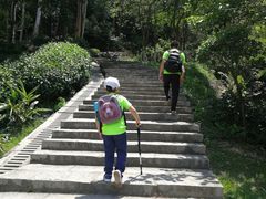 -火炉山森林公园