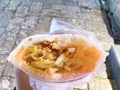 -内涵饵块