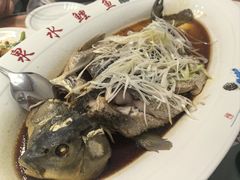 泉水鲤鱼-燕喜堂·中华老字号(大明湖店)