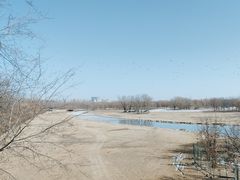 -北京麋鹿生态实验中心