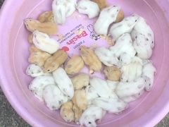 -中环花鸟鱼虫市场