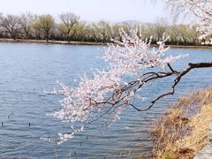 -颐和园-景明楼