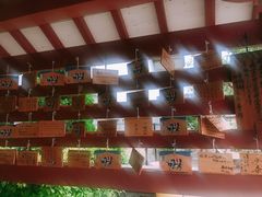 -有栖山 清光院 清水寺