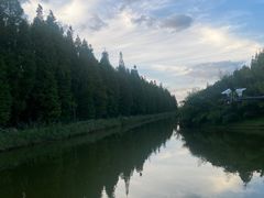 -黄海国家森林公园