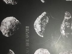 -囧吉香生蚝牛排馆(湖北路店)