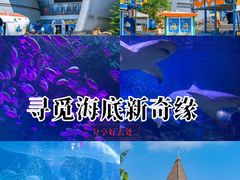 -烟台海昌鲸鲨海洋公园