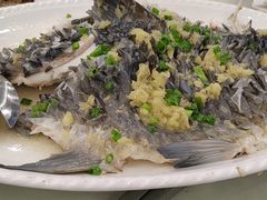 青竹-麦园农庄·西江河鲜