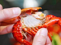 -洪福龙虾