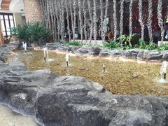 -大堂酒廊·亚龙湾万豪度假酒店