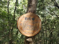 -东天目山风景区