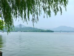 -杭州西湖柳莺里酒店·闻莺厅