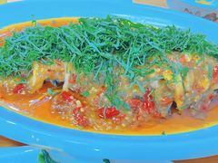 -老字号怡玺·藿香雅鱼(20年雅安店)