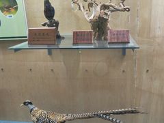 -陕西自然博物馆