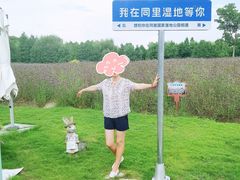 -同里国家湿地公园