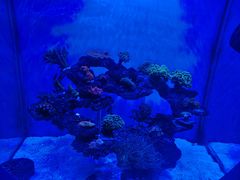 -上海海昌海洋公园-冰山北极馆