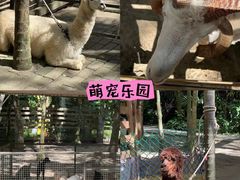 -呀诺达热带雨林