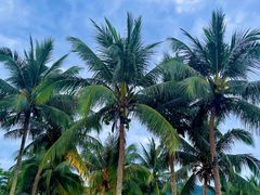 -石梅湾艾美度假酒店