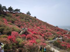 -木兰云雾山