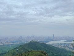 -紫金山山顶公园