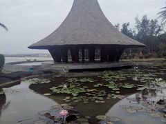 -漳州滨海火山岛自然生态风景区