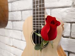 -WithU悠弦时光·尤克里里之家ukulele(宽窄巷子店)