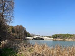 -东湖落雁景区