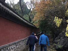 -阳台山自然风景区