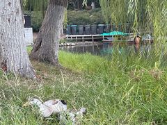 -后襄河公园