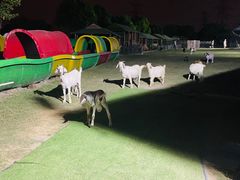 -上海杨姆庄园