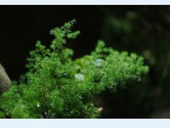 -行人小筑·茶馆(岑村火炉山分店)