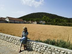 -龙爪山国家地质公园