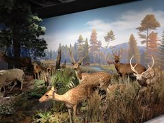 -陕西自然博物馆