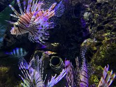 -太平洋海底世界