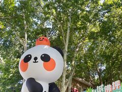 -西安电影制片厂