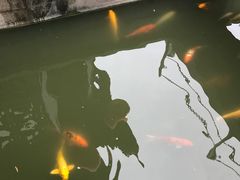 -檀园