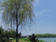 -重元寺香积厨素斋馆