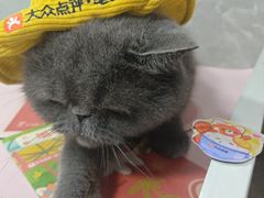 -瑞虹新天地月亮湾