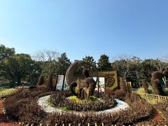 -上海共青森林公园