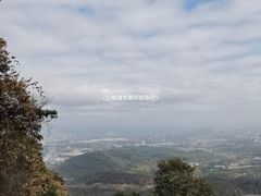 -黄埔油麻山森林公园