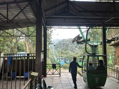 -野象谷景区