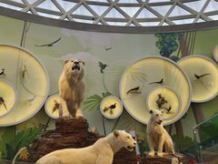 -陕西自然博物馆