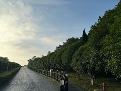 -树山生态村